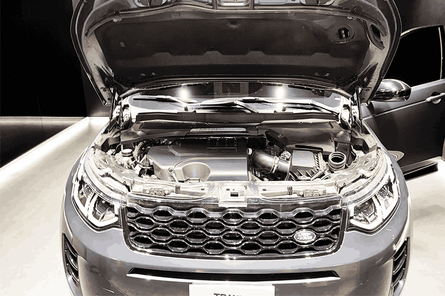 DISCOVERY SPORT P250 DYNAMIC SE